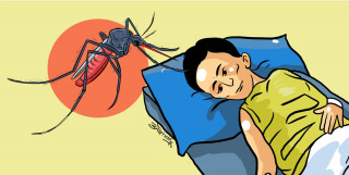 सुदूरपश्चिममा डेङ्गुको उच्च जोखिम