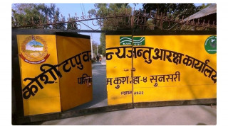 कोशी टप्पुमा बुधवारदेखि चरा गणना