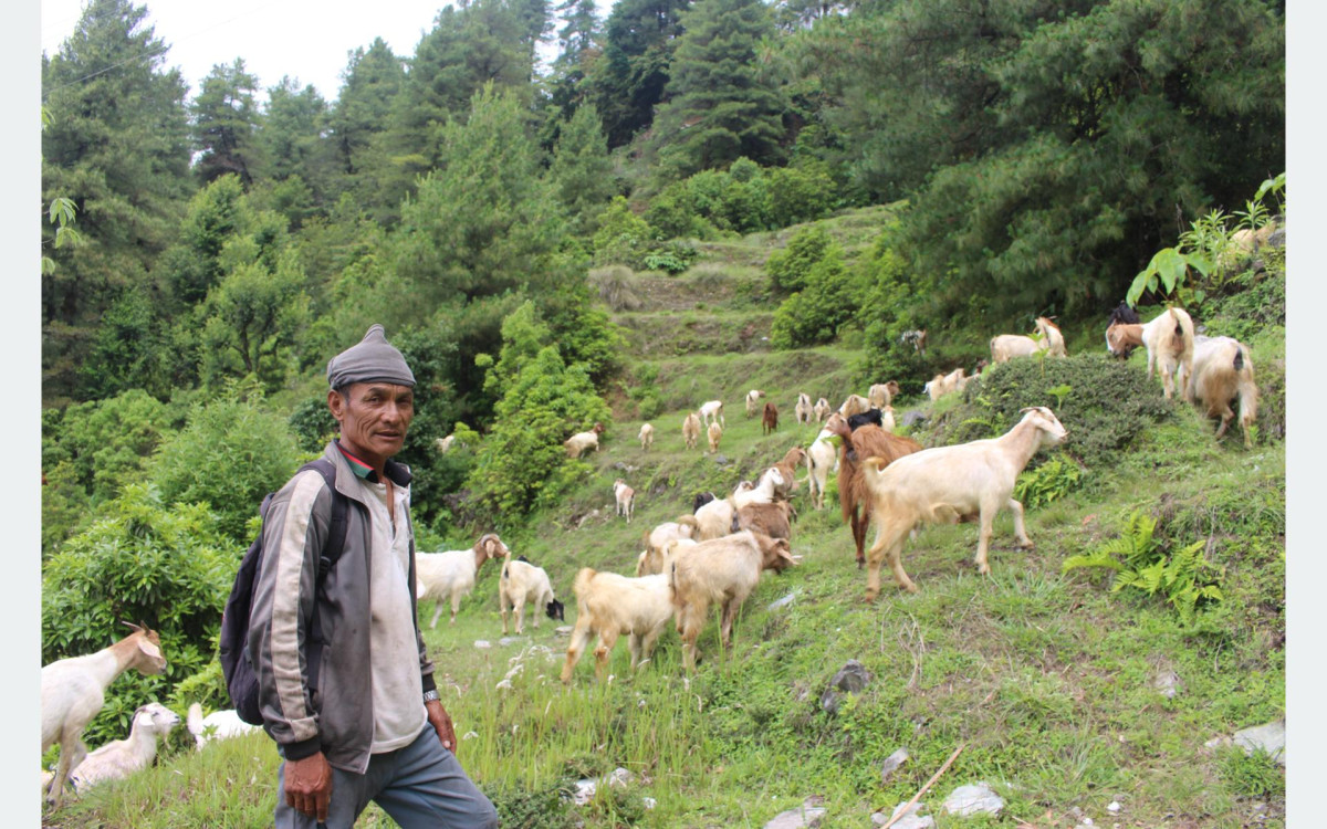 ‘बाख्रापालनबाट मिल्यो सफलता’